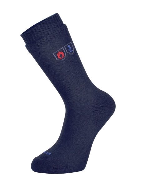 WORKSOCK FR