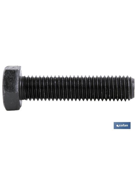 DIN-933 C-10.9 M-16 X 100 N