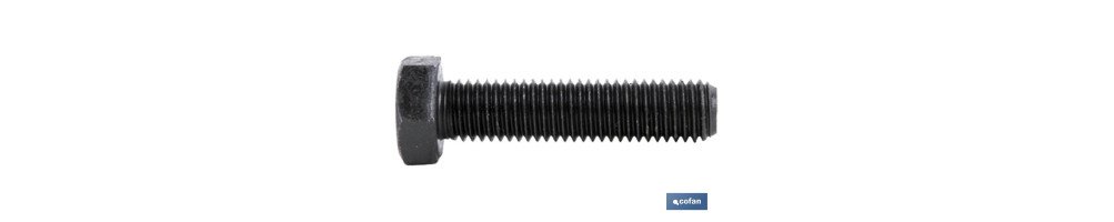 T. Hex 10.9 Negro (Din 933)