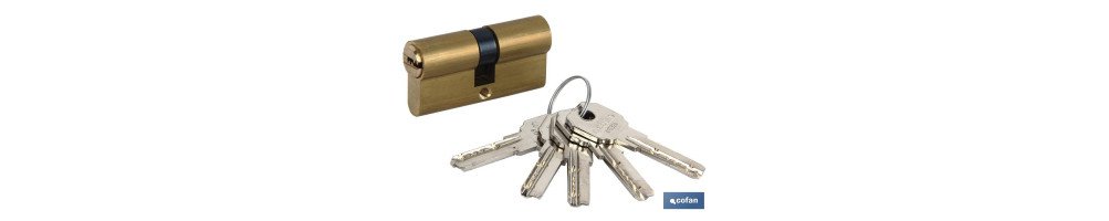 Cilindro Seguridad Llave Normal Leva Larga