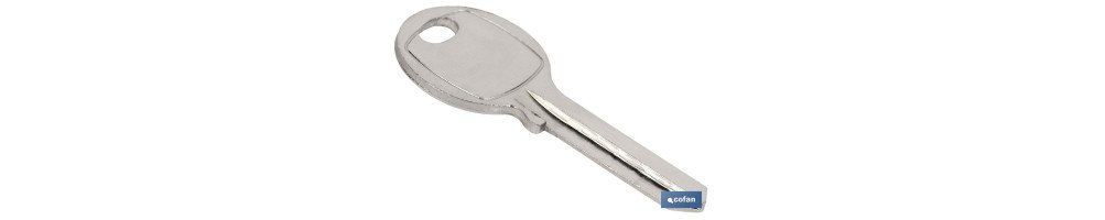 LLave Bruto Candado 50 MM
