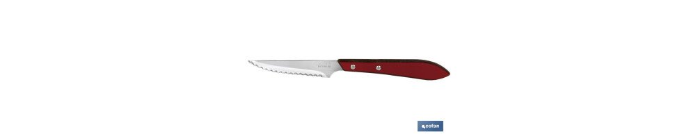 Pack de 3 Cuchillos | Hoja microdentada de 10 cm | En 2 Colores