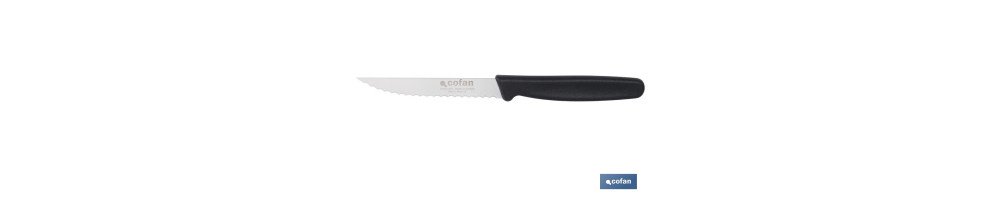 Pack de 25 cuchillos de cocina microdentados | Mango ergonómico | Hoja inoxidable de 10,5 cm